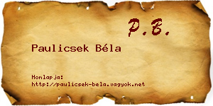 Paulicsek Béla névjegykártya