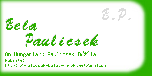 bela paulicsek business card